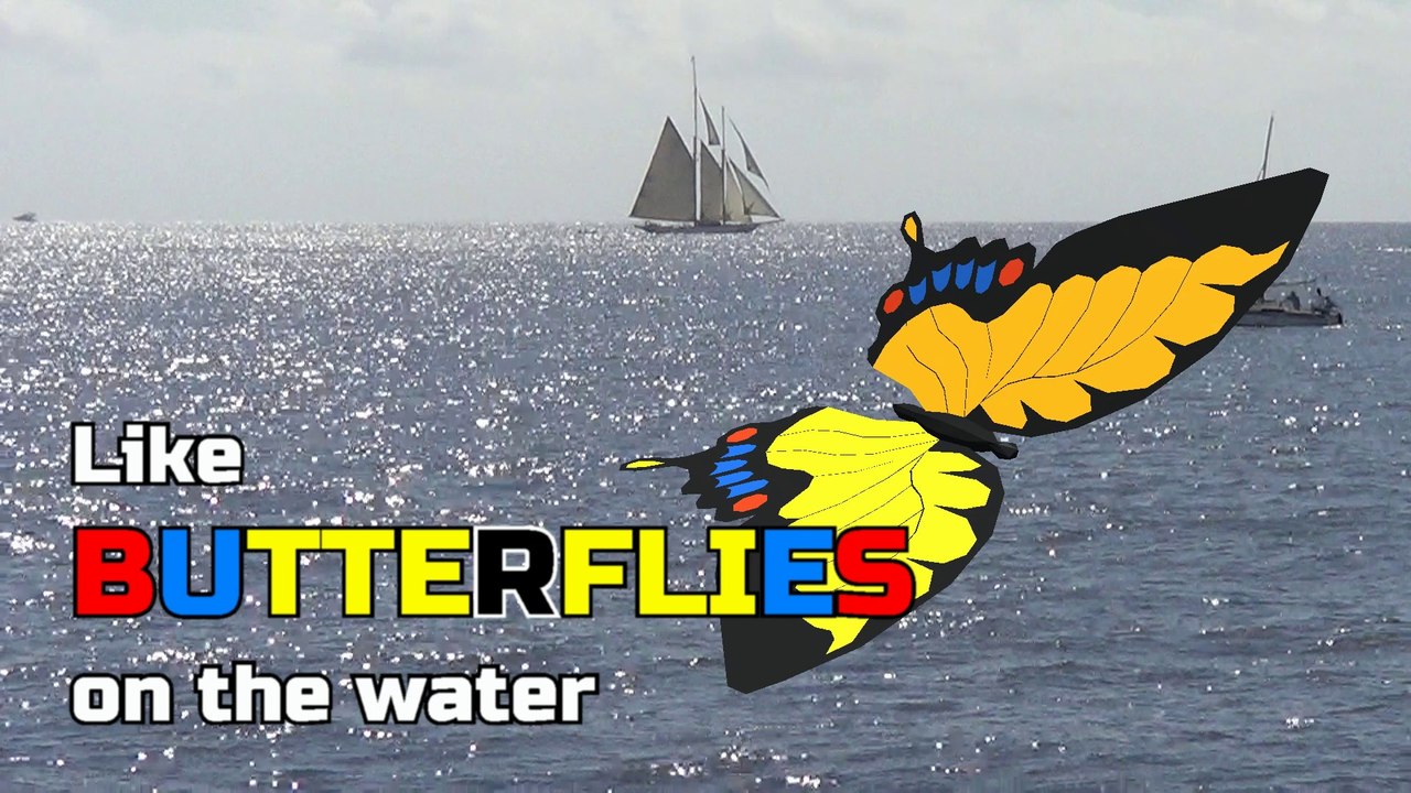 Like Butterflies on the Water