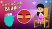 Why Do We Blink? | The Dr. Binocs Show | Best Learning Videos For Kids | Peekaboo Kidz