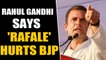 Rahul Gandhi says Rafale is still hurting BJP | OneIndia News