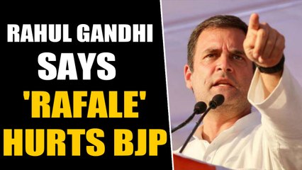 Download Video: Rahul Gandhi says Rafale is still hurting BJP | OneIndia News