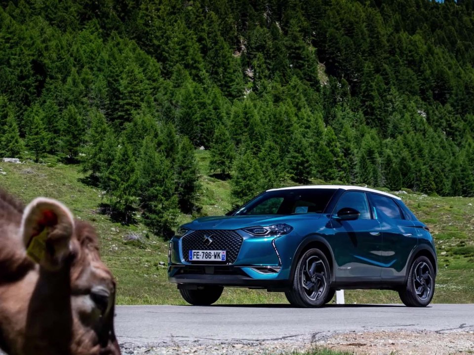 10.000 km en DS 3 Crosskback (2019)