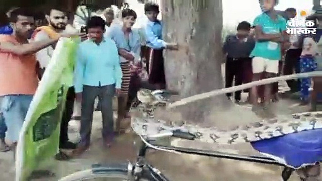 किसान की साइकिल में लिपट गया 10 फीट लंबा अजगर,...