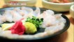 [TASTY] sliced raw fish  생방송 오늘저녁 20191014