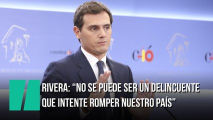 "No se puede ser un delincuente que intente romper nuestro país"