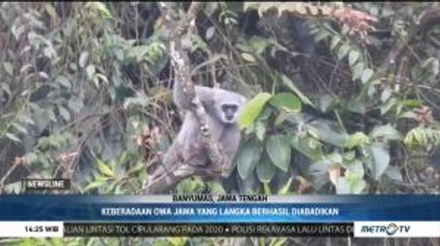 Menengok Keberadaan Satwa Langka Hutan Gunung Slamet