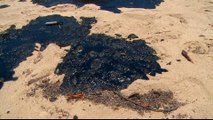 Brazil oil spill:  2,000km of northern beaches contaminated