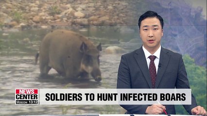 S. Korean soldiers to cull wild boars in areas with African swine fever