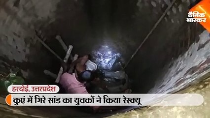 कुएं में गिरे सांड का युवकों ने किया रेस्क्यू