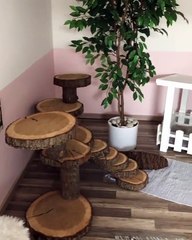 Un fantastique sanctuaire pour nos chers et adorables animaux. Magnifique... Vous allez être bluffés !