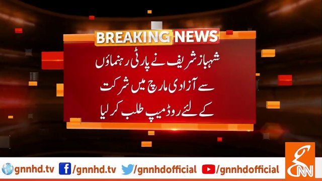 Shehbaz Sharif seeks road-map from party leader to participate Azadi March