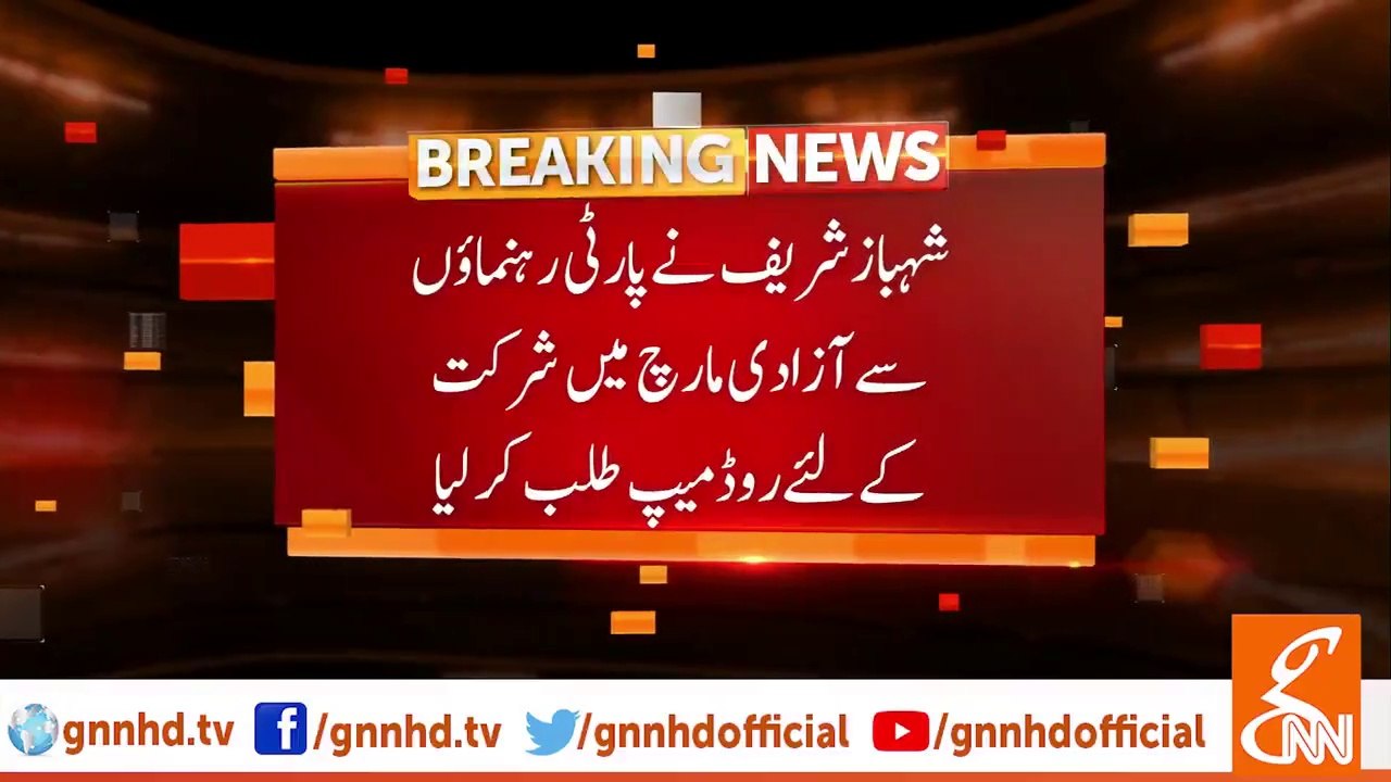 Shehbaz Sharif seeks road-map from party leader to participate Azadi March