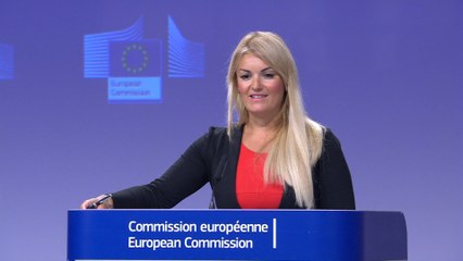 La Comisión Europea "respeta totalmente" la sentencia