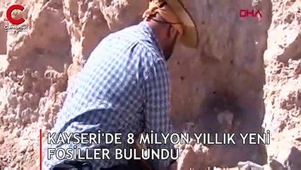 Kayseri'de 8 milyon yıllık yeni fosiller bulundu