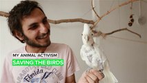 My Animal Activism: The Birdman