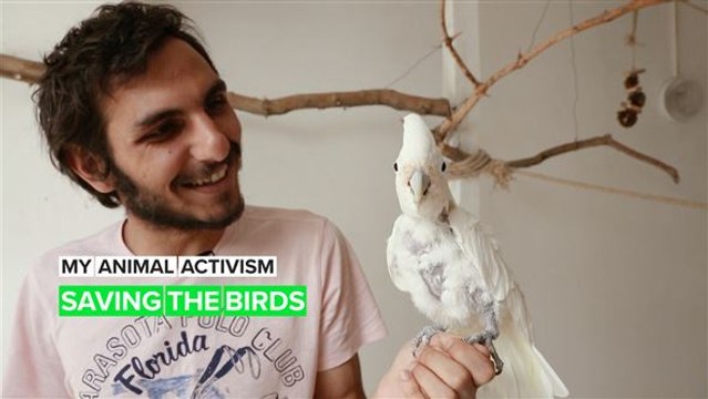 My Animal Activism: The Birdman