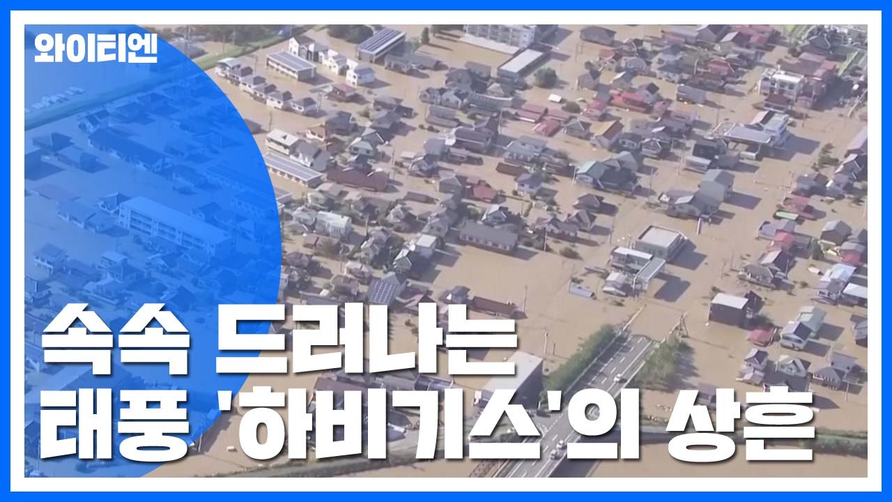 아수라장...역대급 태풍 '하기비스'가 남긴 상처 / YTN
