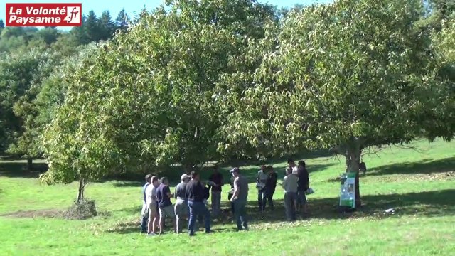 Innov’Action 2019 : bovins viande bio et châtaignes