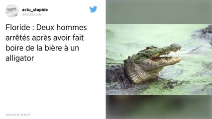 Deux hommes arrêtés pour avoir fait boire de la bière à un alligator