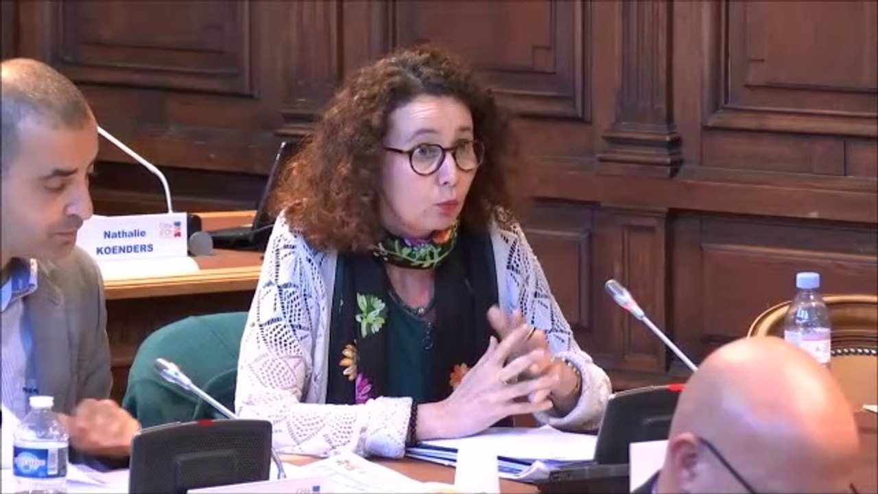Sandrine HILY. Avis sur le SRADDET