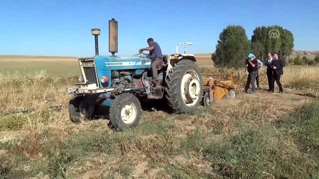 Yerli patates hasadı yapıldı
