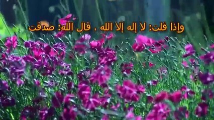 سجد الشيخ الألباني بعدما تأكد من صحة حديث عظيم