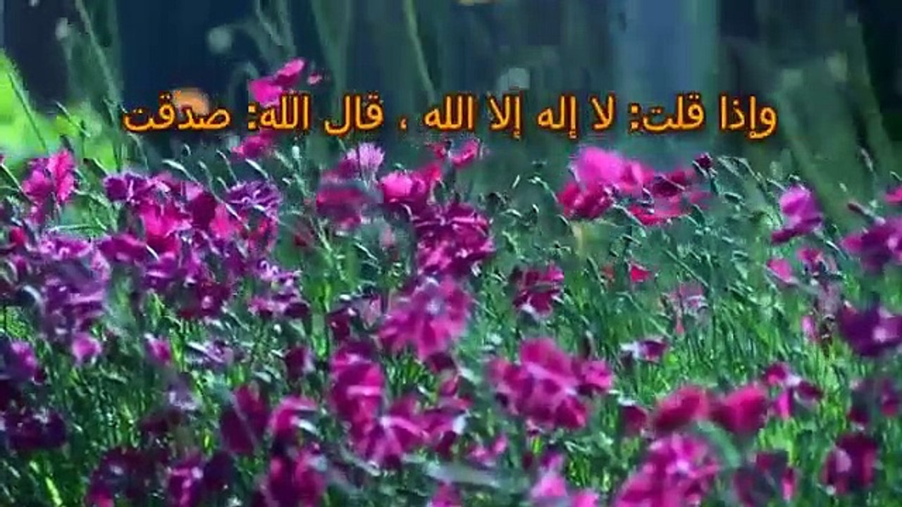 سجد الشيخ الألباني بعدما تأكد من صحة حديث عظيم