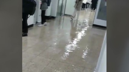 숭실대 중앙도서관 수도관 터져...학생 대피 / YTN