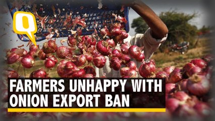 Will Onions Decide Maharashtra's Fate in Assembly Polls?