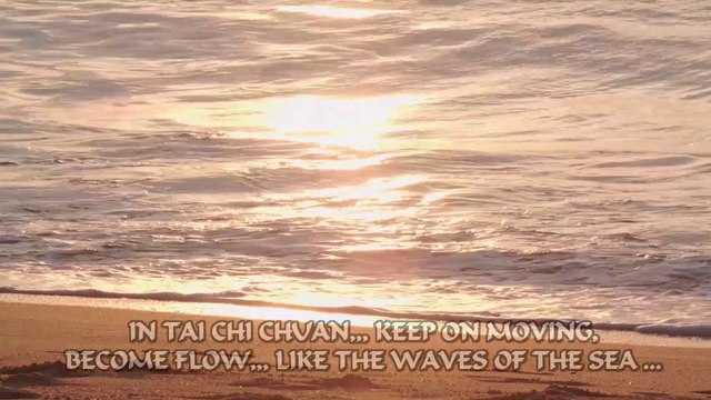 Tai Ji - The Flow of Tai Chi Chuan | martial arts by Laura Bonthuis