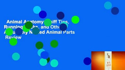 Animal Anatomy: Sniff Tips, Running Sticks, and Other Accurately Named Animal Parts  Review