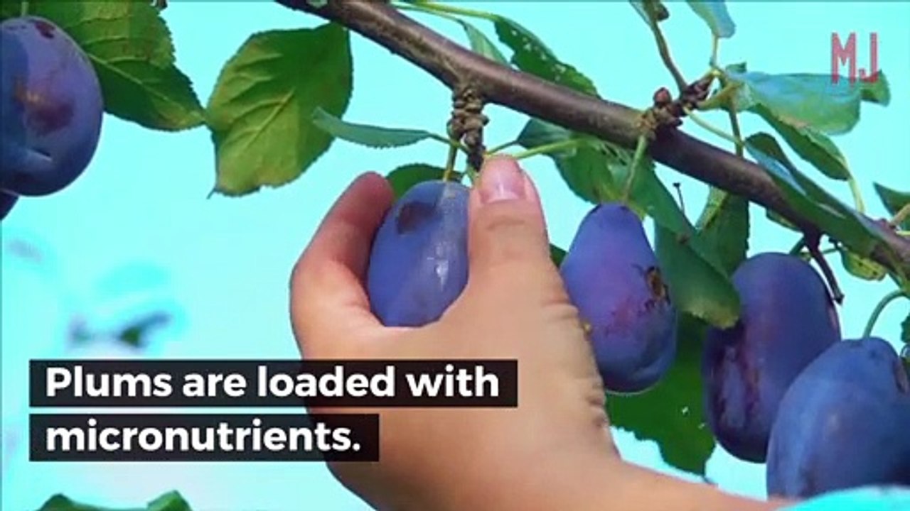 Why Plums Are the Perfect Fruit for Athletes video Dailymotion