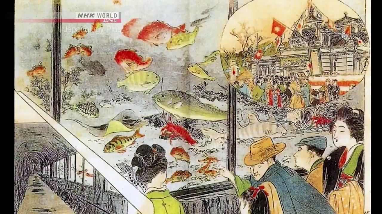 Japanology Plus - Aquariums
