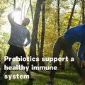 9 Health Benefits of Probiotics