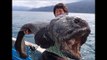 Ce que ces pêcheurs ont capturé près du site du désastre nucléaire de Fukushima est incroyable