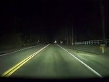 Self-Driving Car Saves Momma Bear and Cubs