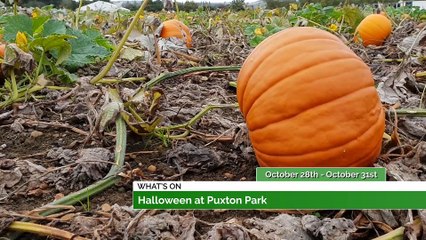 Latest What's On Guide