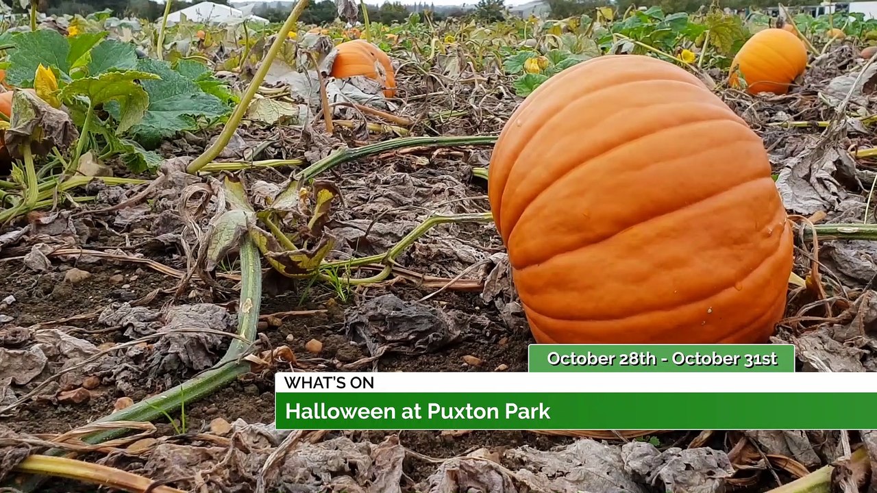 Latest What's On Guide