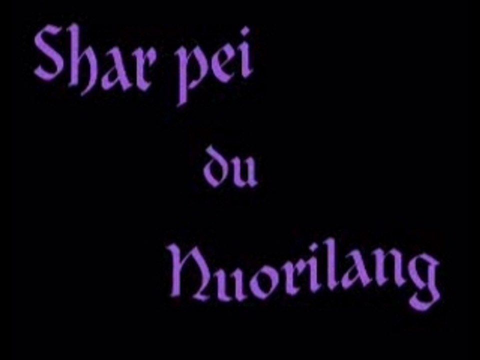Nuorilang