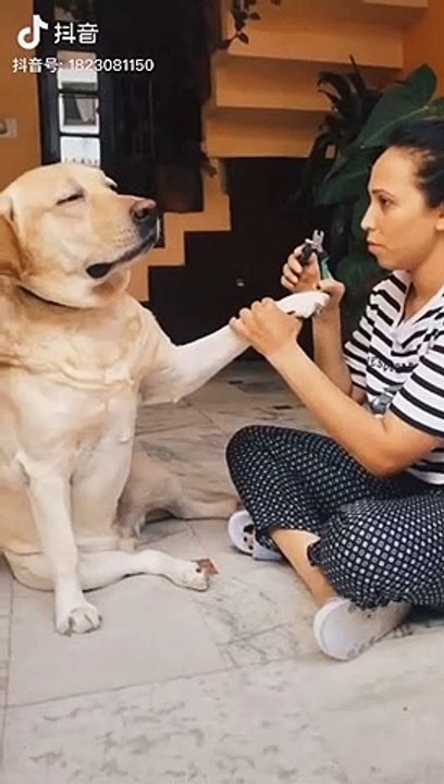 国外学士学历认证Q微29304199西蒙菲莎大学文凭〈SFU毕业证成绩单〉留信认证/买加拿大西蒙弗雷泽大学毕业证成绩单offer使馆认证(回国人员证明)Simon Fraser University