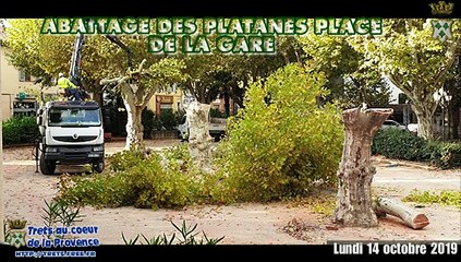 Abattage des platanes place de la gare à TRETS 15OCT2019