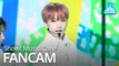 [예능연구소 직캠] NCT DREAM - BOOM (JISUNG), 엔시티 드림 - BOOM (지성) @Show Music Core 20190810
