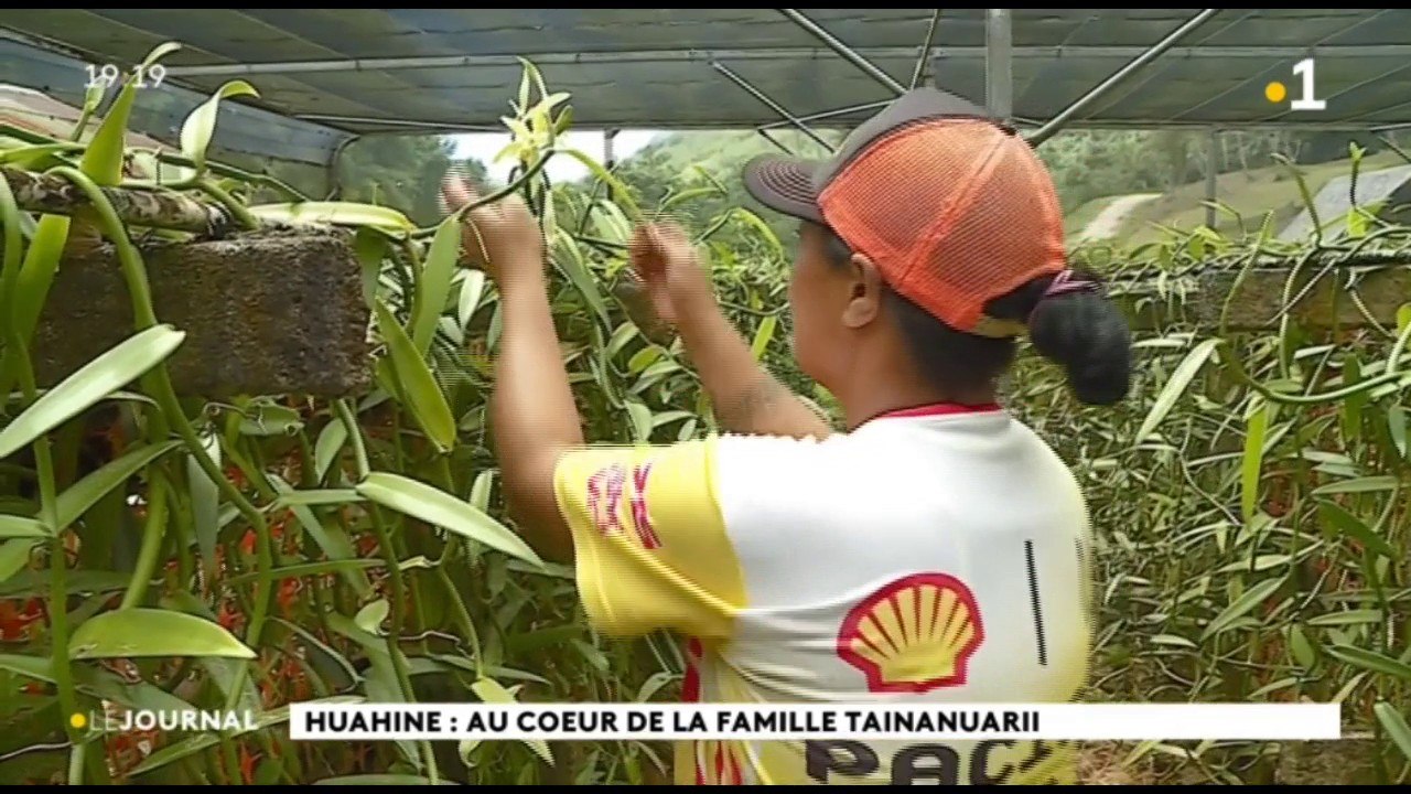Au cœur du fenua à Huahine