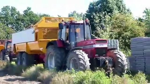 Dewulf Kwatro & Case IH 1455 - Veerman Goudswaard