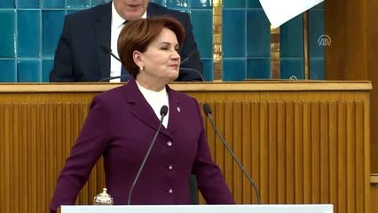 Akşener: "Türkiye ilk kez sınır ötesi operasyonu yapmıyor"