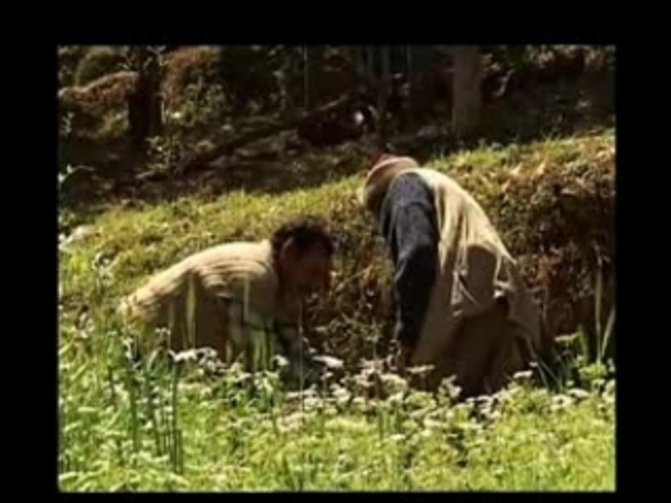 Le bien commun (extrait)