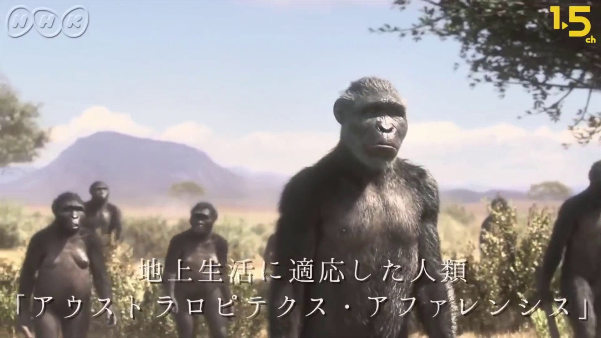 Birth Of First Ancestral Humans Ancestors 3 7 Million Years Ago A Lion Kills Our Ancestor Video Dailymotion