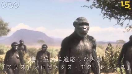 Birth of first ancestral humans ancestors 3.7 million years ago, a lion kills our ancestor