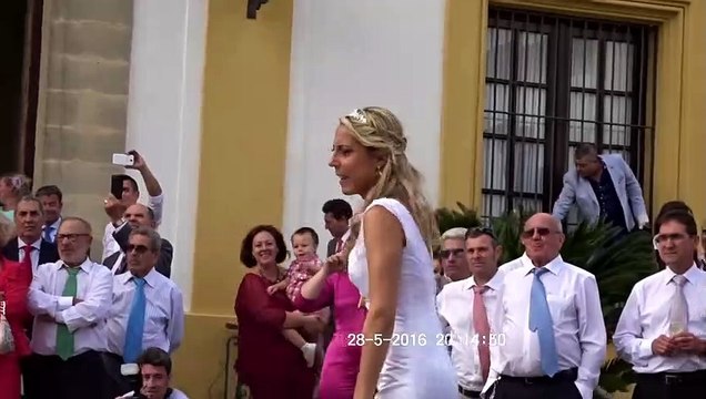 QUÉBONITO Ver bailar sevillanas a un caballo con una preciosa novia y con ...