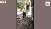 સરકારી વર્ટિકલ ગાર્ડનમાંથી વૃદ્ધે છોડ ફેંકી કુંડું ચોર્યું, હરકત કેમેરામાં કેદ