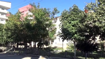 Yüksekova Belediyesi'ne operasyon: Belediye Başkanı Remziye Yaşar Ankara’da gözaltına alındı